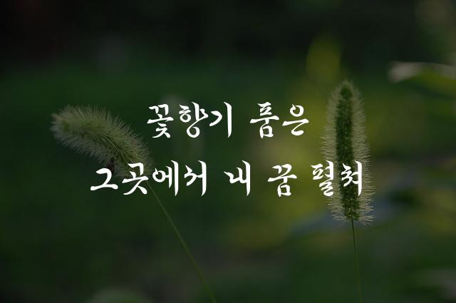 덕온공주체