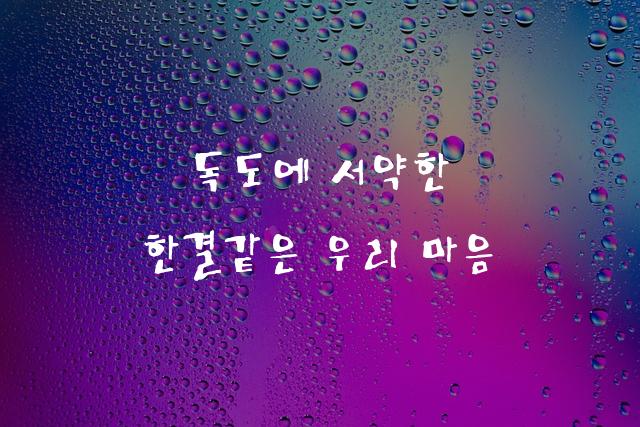 대한민국 독도체