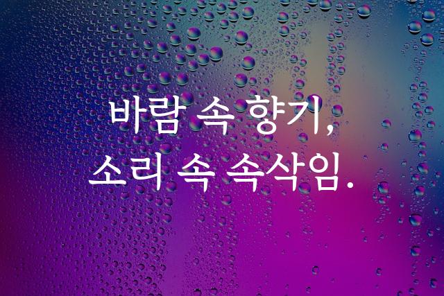 동국체