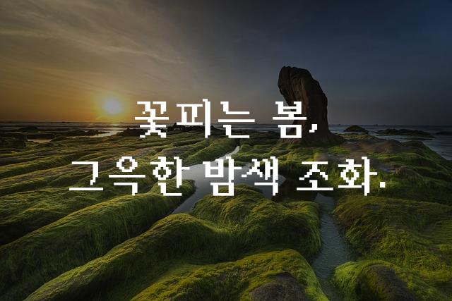 도스한글