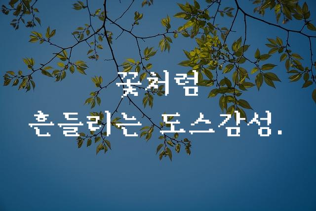 도스명조