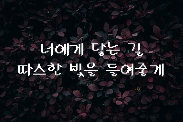 도스필기