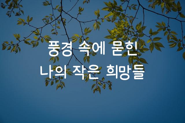 둘기마요고딕