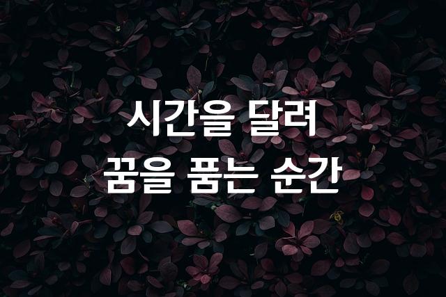 DW임팩타민체