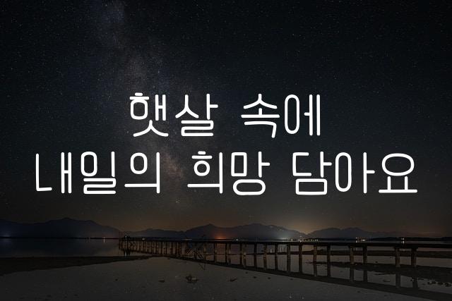 다이어리체