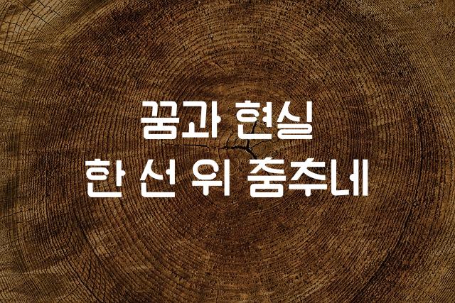 A1 전용서체