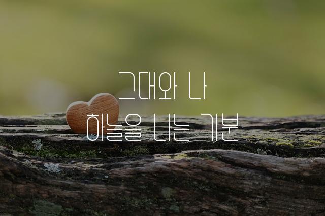 오이냉체