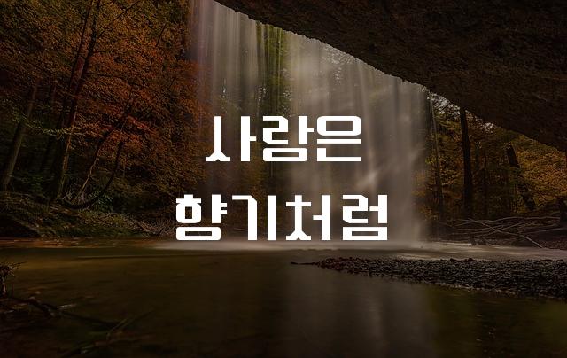 혀니고딕