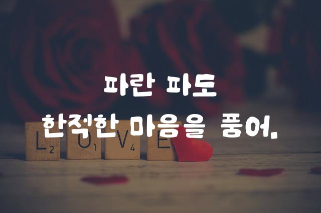 제주돌담체