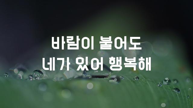 라디오고딕