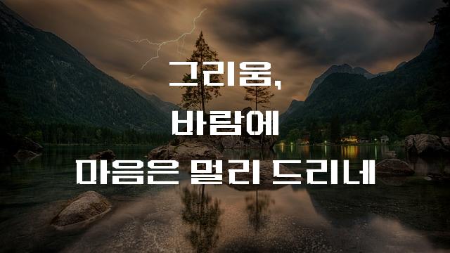 마초체