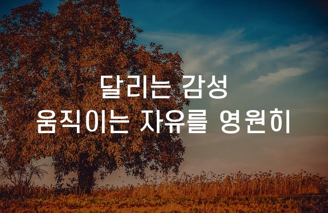 웹드라이브