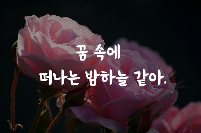 칠백삼체 유서연