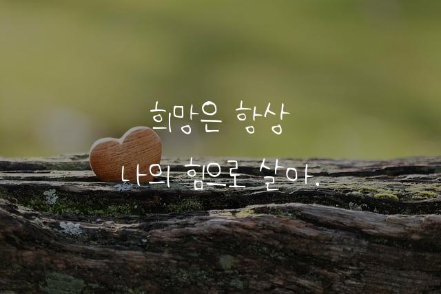 효남 늘 화이팅