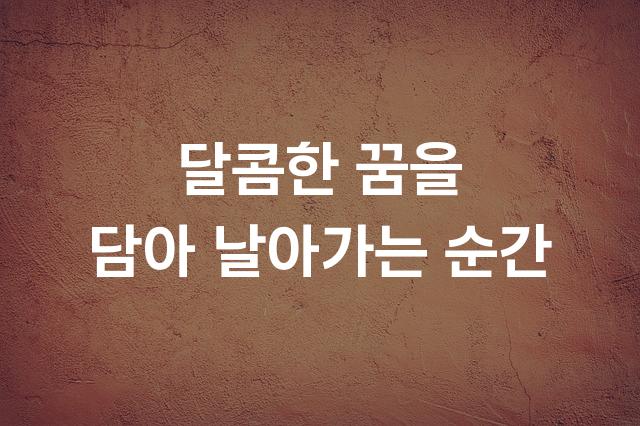 플라이트 산스