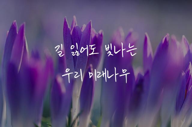 미래나무