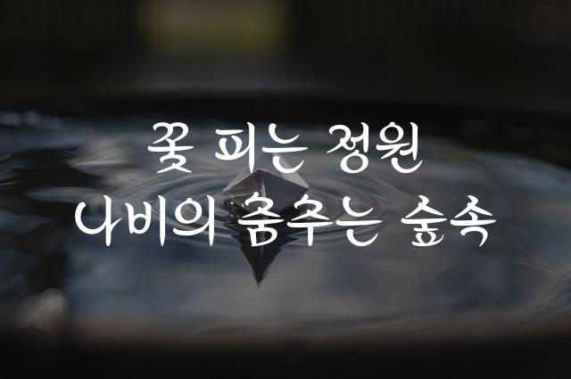 가비아 봄바람체