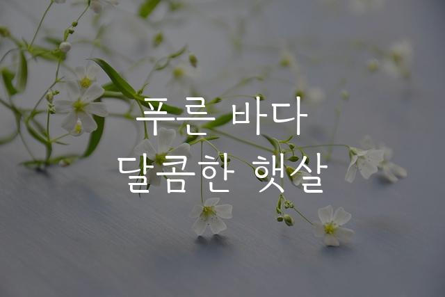 가비아 고스란체