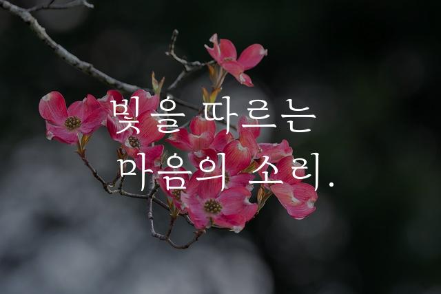 가비아 마음결체
