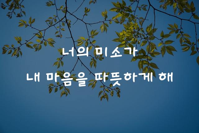 가비아 솔미체