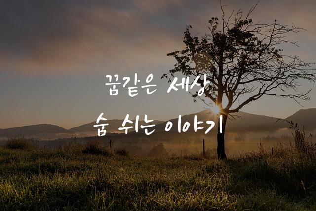 갈맷글