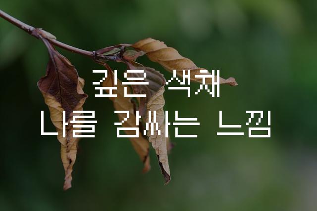 갈무리모노11