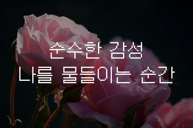 갈무리14