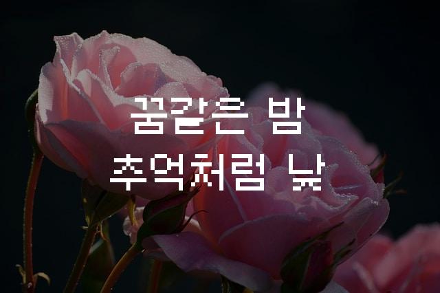 갈무리9