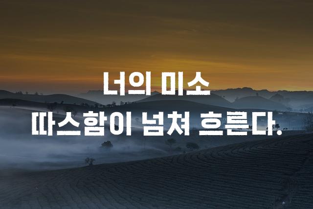 감탄로드 감탄체