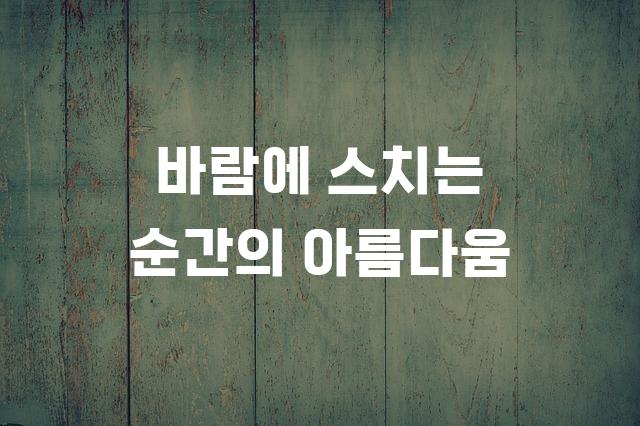 감탄로드 탄탄체