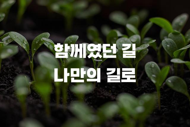 강원교육튼튼체