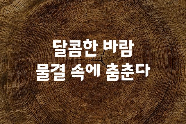 가평 물결