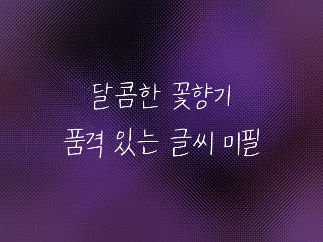 가람연꽃