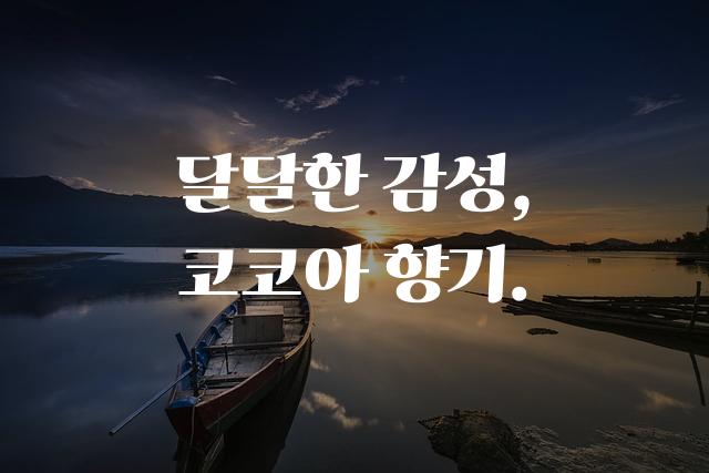 가나초콜릿체