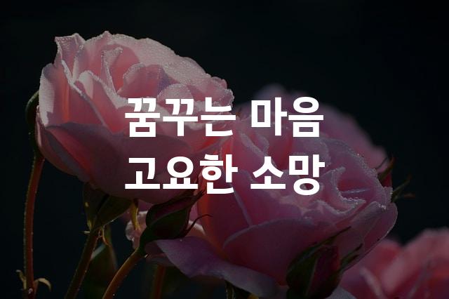 김포평화고딕