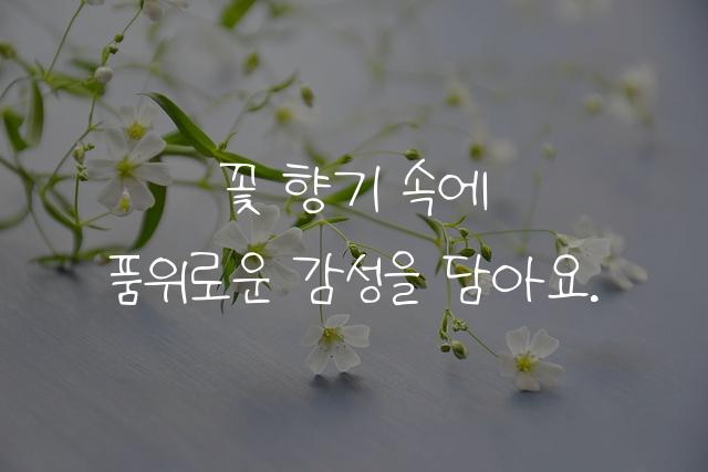 꽃내음