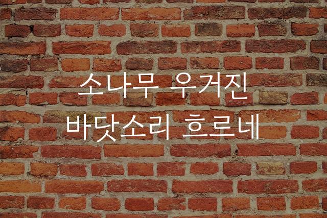 고운돋움