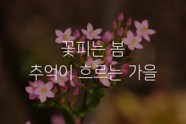 고양일산체
