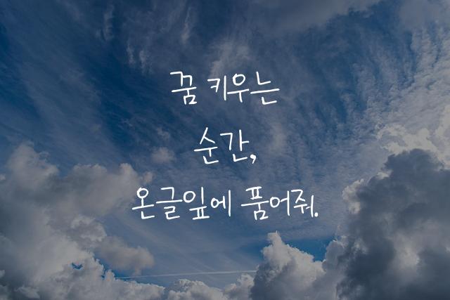 온글잎 경영체