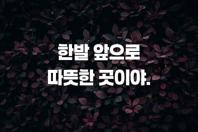 학교안심 알림장