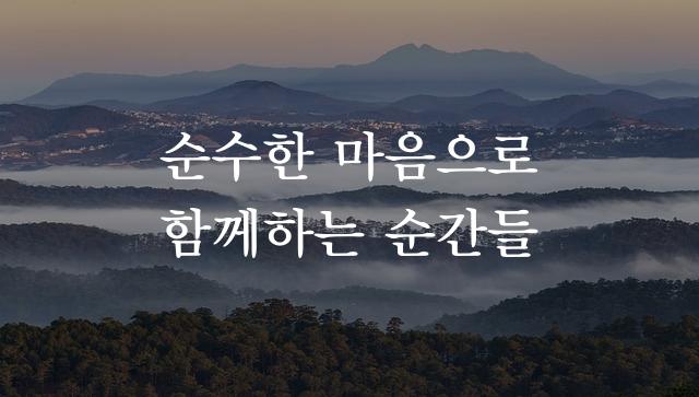 학교안심 바른바탕