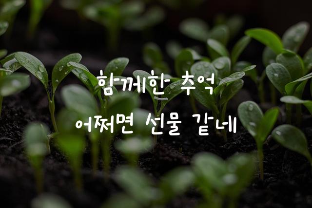 학교안심 칠판지우개