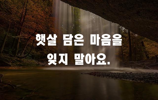 학교안심 곧은제목