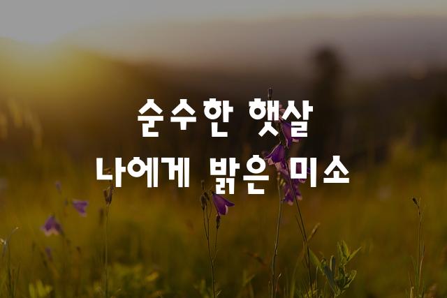 학교안심 맑은날