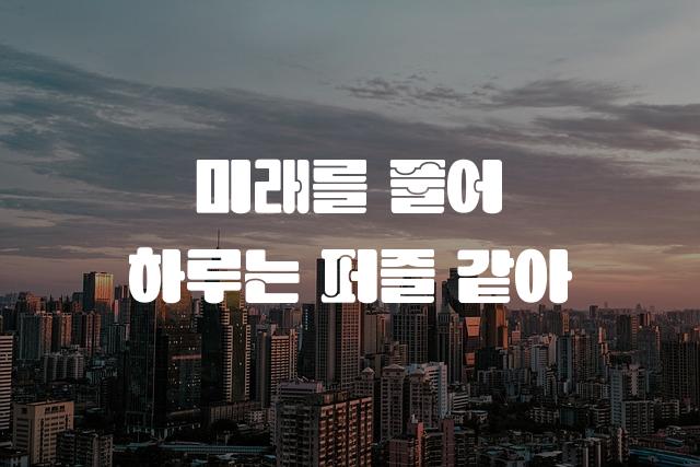 학교안심 퍼즐 블랙