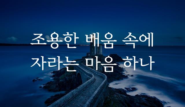 학교안심 산뜻바탕
