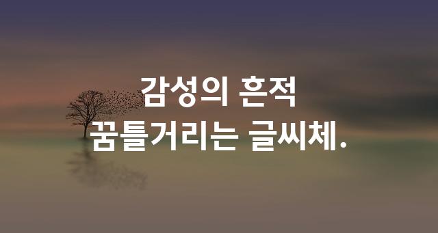한림고딕체