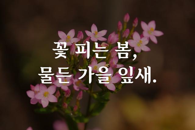 한림명조체