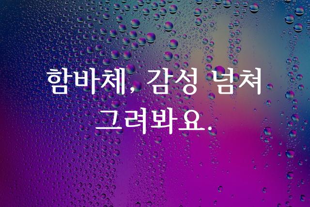 함초롬바탕체