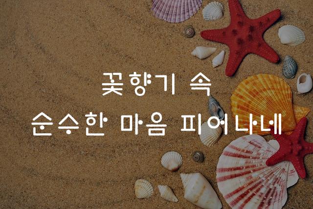 한컴 훈민정음